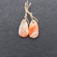 Natural Shell Gemstone Earring Beads,Drill Earring Pair For Cheap