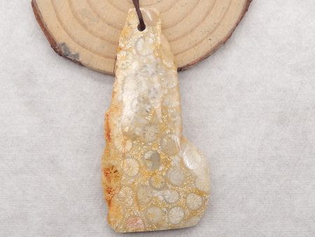 Nugget (Rough Sides) Natural Indonesian Fossil Coral Gemstone Pendant Bead,62x30x7mm, 17g Cheap