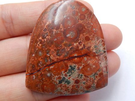 Natural Rhyolite Bird s Eye Jasper Cabochon 43x36x6mm, 12.5g Sale