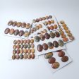 8-24 PCS Natural Red Creek Jasper Cabochons Online