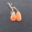 Natural Shell Gemstone Earring Beads,Drill Earring Pair For Cheap