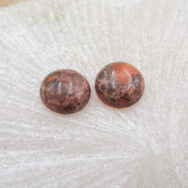 Natural Rhyolite Bird s Eye Jasper Cabochons Paired 10x4mm, 1.4g For Discount