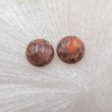 Natural Rhyolite Bird s Eye Jasper Cabochons Paired 10x4mm, 1.4g For Discount