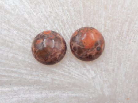 Natural Rhyolite Bird s Eye Jasper Cabochons Paired 10x4mm, 1.4g For Discount