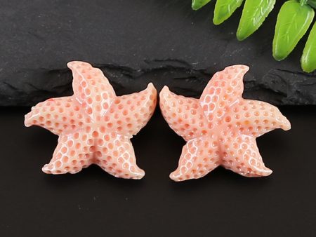 BITEFU 1Pair Pink Conch Shell (Made Of Powder Of Shell, Color Is Enhanced ) Starfish , 4.8g Cheap