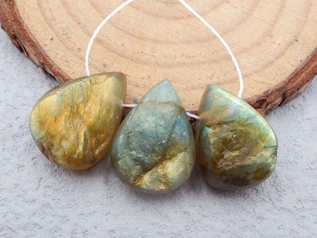 3 PCS Natural Labradorite Pendant Beads 18x13x6mm, 7.6g For Sale