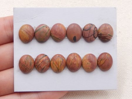 12 PCS Natural Red Creek Jasper Cabochons 12x9x4mm, 8.8g For Discount