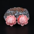 BITEFU 1Pair Pink Conch Shell (Made Of Powder Of Shell, Color Is Enhanced ) Lotus Flower, 5.6g Online