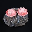 BITEFU 1Pair Pink Conch Shell (Made Of Powder Of Shell, Color Is Enhanced ) Lotus Flower, 5.6g Online